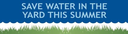 Save Water in the Yard this Summer